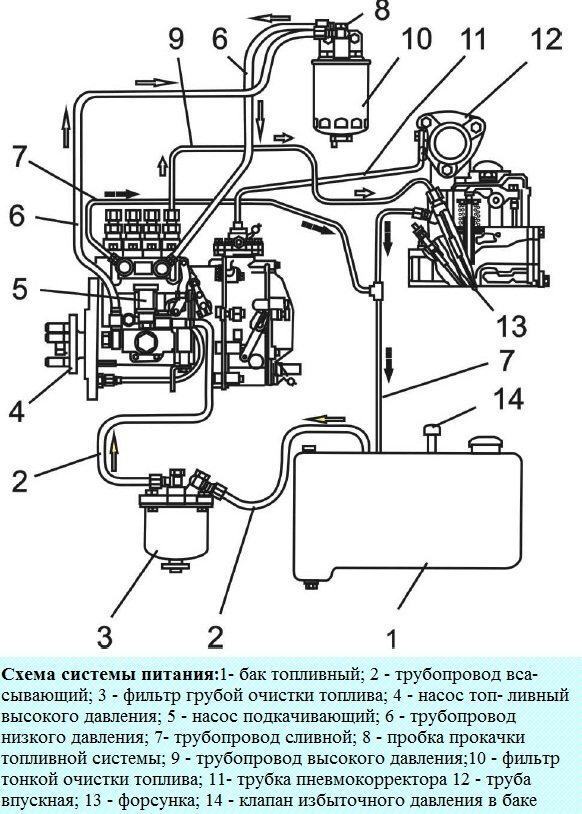 Двигатель Д240 отличие от 242