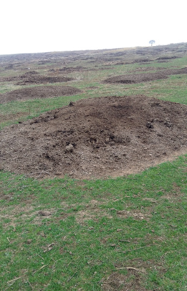 Гипсование почвы - приемы исправления засоленных почв