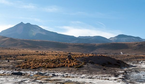 Соленые почвы формируются в понижениях рельефа