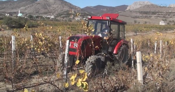 МТЗ-921 в винограднике